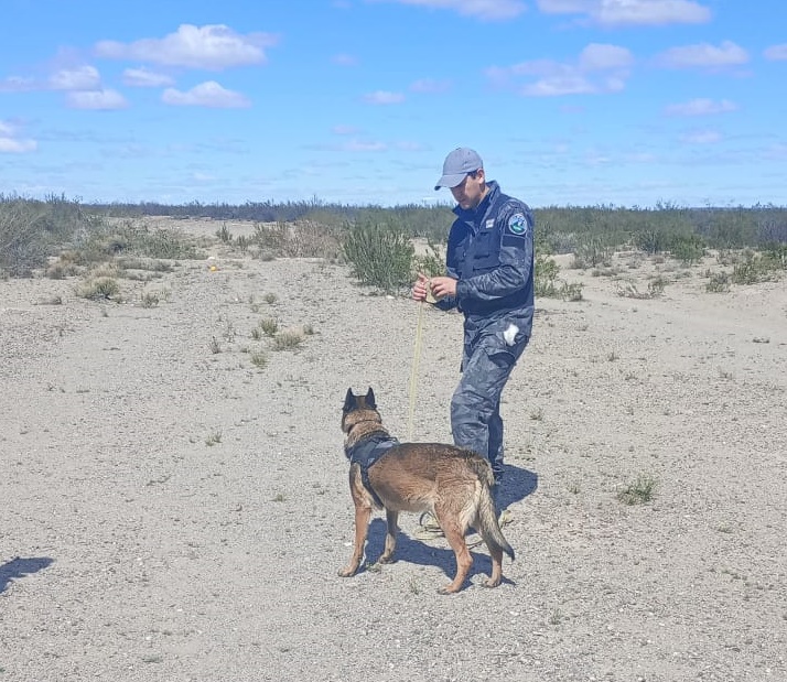 Lee más sobre el artículo Desesperada búsqueda del joven nicoleño Hugo Leandro Gorgone, hijo de un destacado dirigente del radicalismo