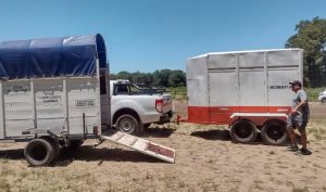 Lee más sobre el artículo Desbaratan carreras ilegales de caballos en un predio de Barrio Fraga