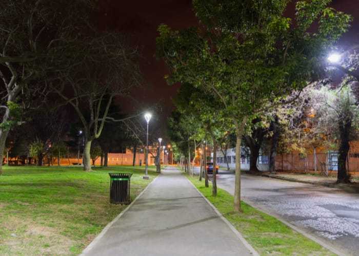 Lee más sobre el artículo Una menor denuncia que sufrió abuso sexual en pleno Parque San Martín