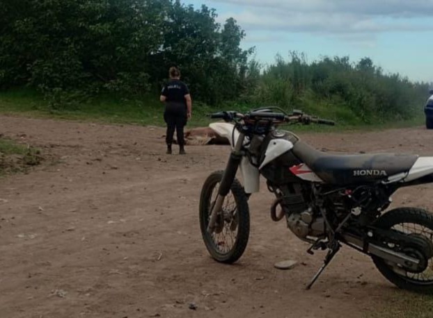 Lee más sobre el artículo Motociclista con lesiones graves tras embestir a un caballo en zon norte