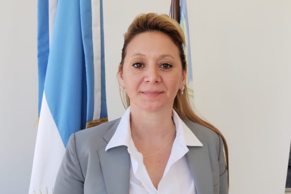 Lee más sobre el artículo Villa Constitución: prohiben circulación de carros tirados por caballos