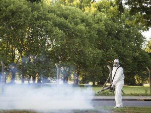 Lee más sobre el artículo Confirmaron primer caso de dengue en Ramallo