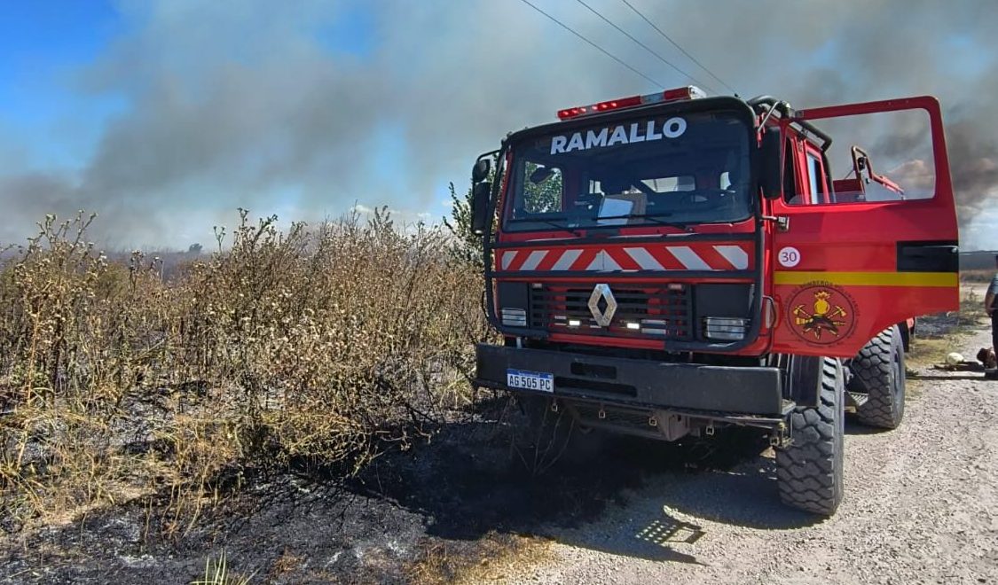 Lee más sobre el artículo Flor de boludos: hicieron un asado y generaron un incendio de proporciones