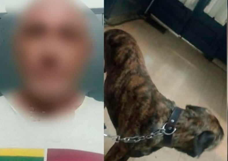 Lee más sobre el artículo Insólito: dejó a su perro en el auto y lo denunciaron