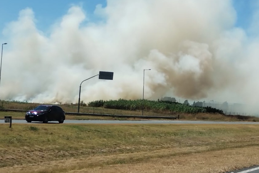 Lee más sobre el artículo Se incendiaron pastizales al lado del Parador San Nicolás