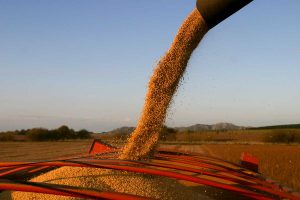 Lee más sobre el artículo Baja de retenciones: desde el agro destacaron el anuncio del Gobierno aunque piden que sea permanente