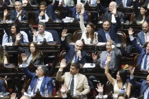 Lee más sobre el artículo Diputados aprobó la suspensión de las PASO para este año
