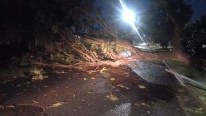 Lee más sobre el artículo Secuelas del temporal: más de 200 reclamos y siguen los cortes de energía
