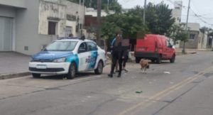 Lee más sobre el artículo Un ciclista herido tras colisionar con camioneta