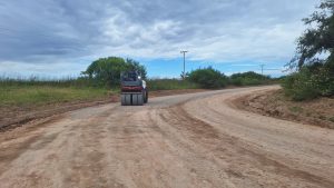 Lee más sobre el artículo Ramallo: el municipio avanza en el mantenimiento de caminos rurales