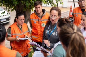 Lee más sobre el artículo Detectaron un caso de Dengue en Villa Constitución