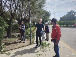Lee más sobre el artículo Ramallo: avanza el recambio de luminarias para mejorar la seguridad y ahorro energético
