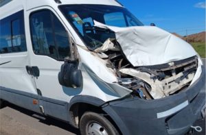 Lee más sobre el artículo Camioneta impactó contra un caballo en la Autopista