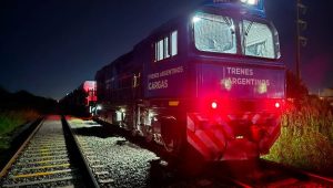 Lee más sobre el artículo Murió un hombre al ser arrollado por un tren en la zona sur