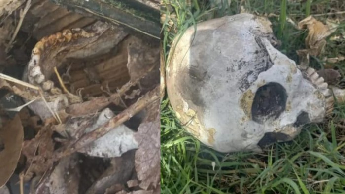 Lee más sobre el artículo Hallaron restos humanos en un Santuario del Gauchito Gil, en zona sur de San Nicolás