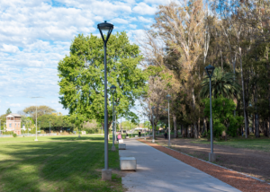 Lee más sobre el artículo Inseguridad: golpearon a un hombre y le robaron la bicicleta en el Monte de Eucaliptus
