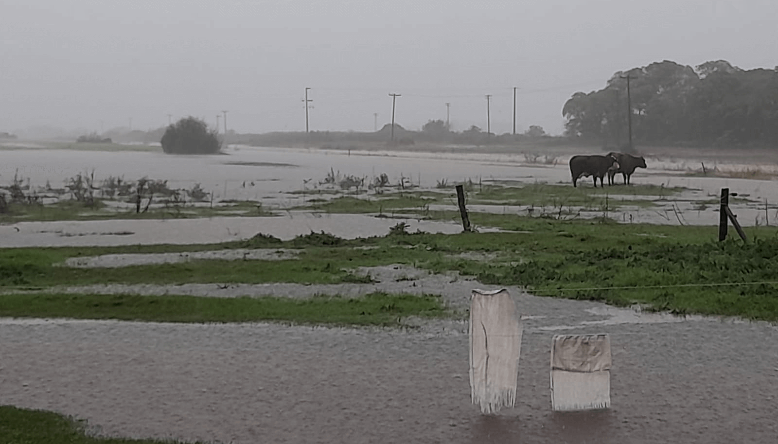 Lee más sobre el artículo Inundaciones y destrozos por caída de granizo en varios municipios bonaerenses