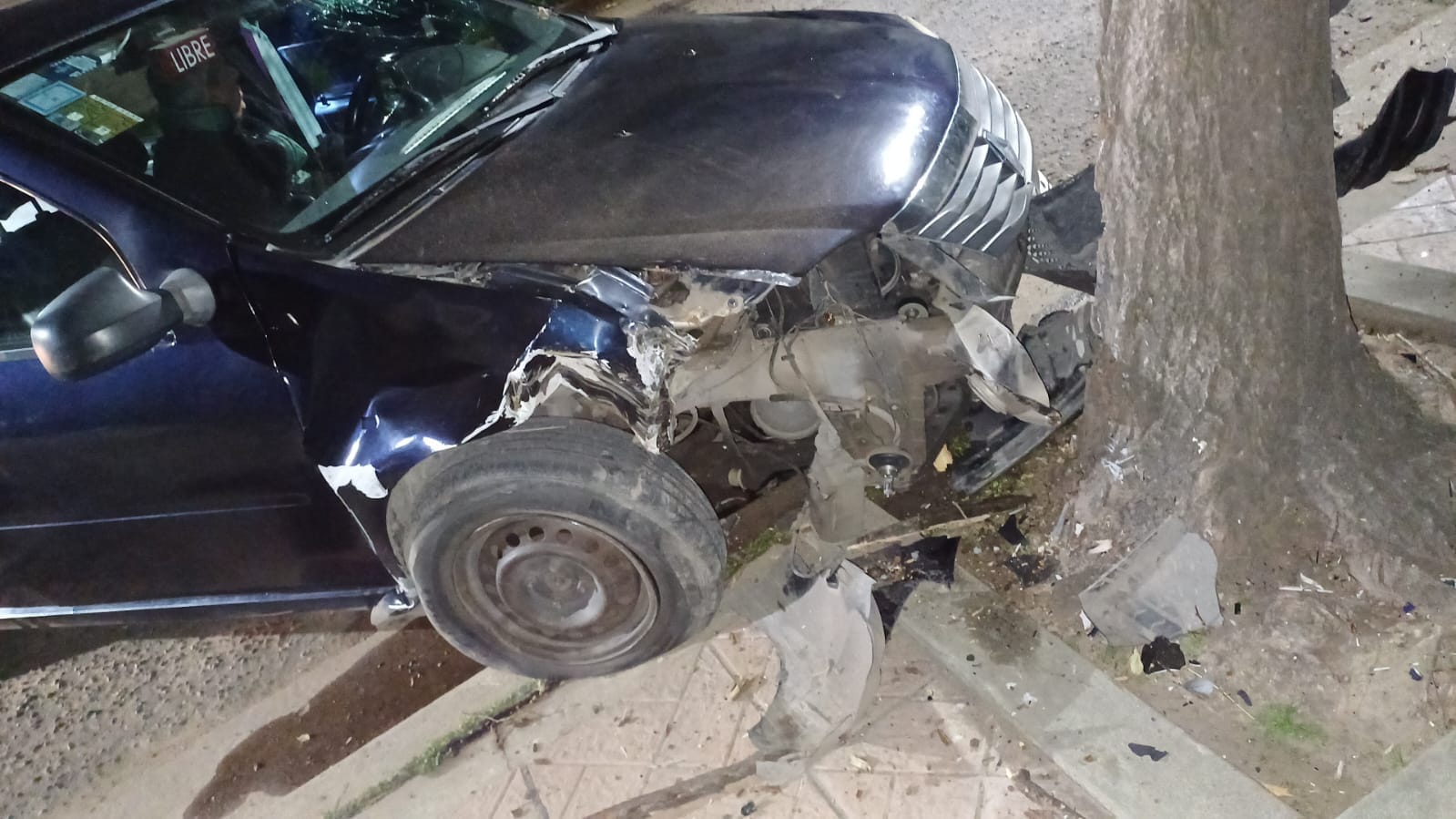 Lee más sobre el artículo Automovilista se chocó un árbol en Barrio Las Flores