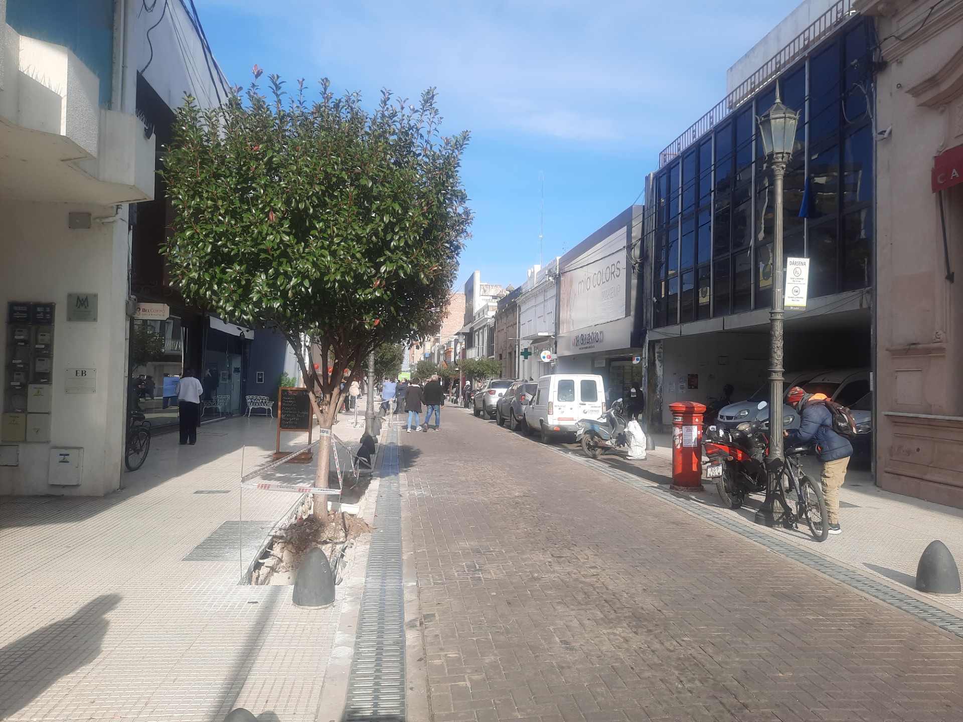 Lee más sobre el artículo Y un día el centro nicoleño se llenó de árboles…