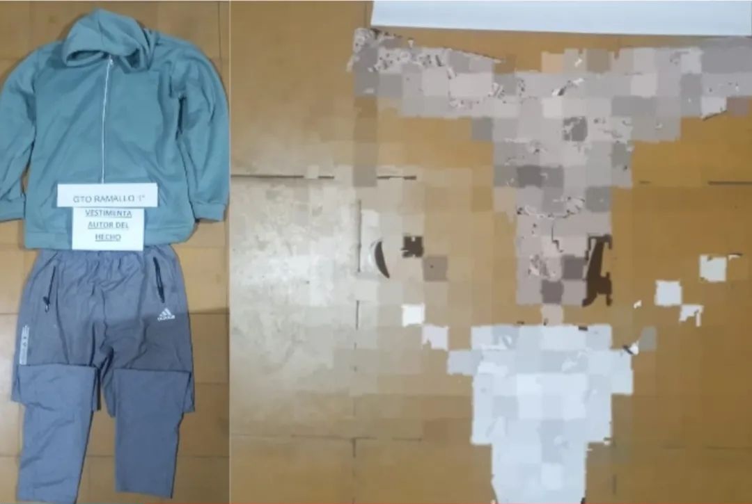 Lee más sobre el artículo Insólito: un sujeto robó tangas estando desnudo, y luego lo detuvieron