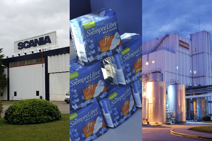 Lee más sobre el artículo Caen empresas como moscas con el modelo Milei