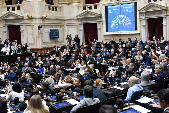Lee más sobre el artículo Diputados rechazó el veto en Discapacidad, pero no pudo con jubilados 