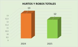 Lee más sobre el artículo Marcada disminución de los delitos en Ramallo