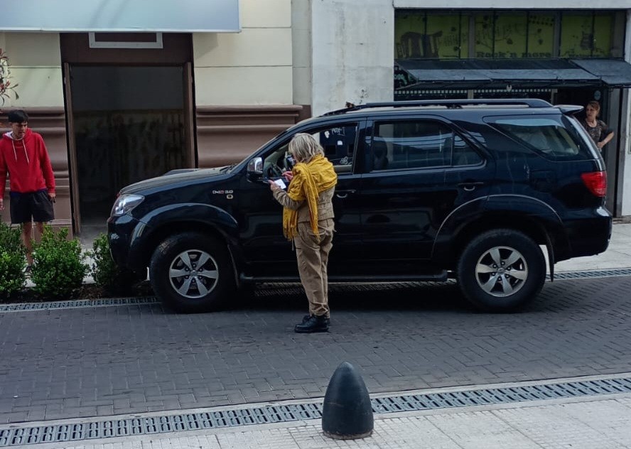 Lee más sobre el artículo Una mala maniobra hizo que terminara arriba del bolardo y los plantines en plezo centro nicoleño
