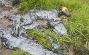 Lee más sobre el artículo Elevan a juicio penal la causa por contaminación contra directivos de Carboquímica del Paraná