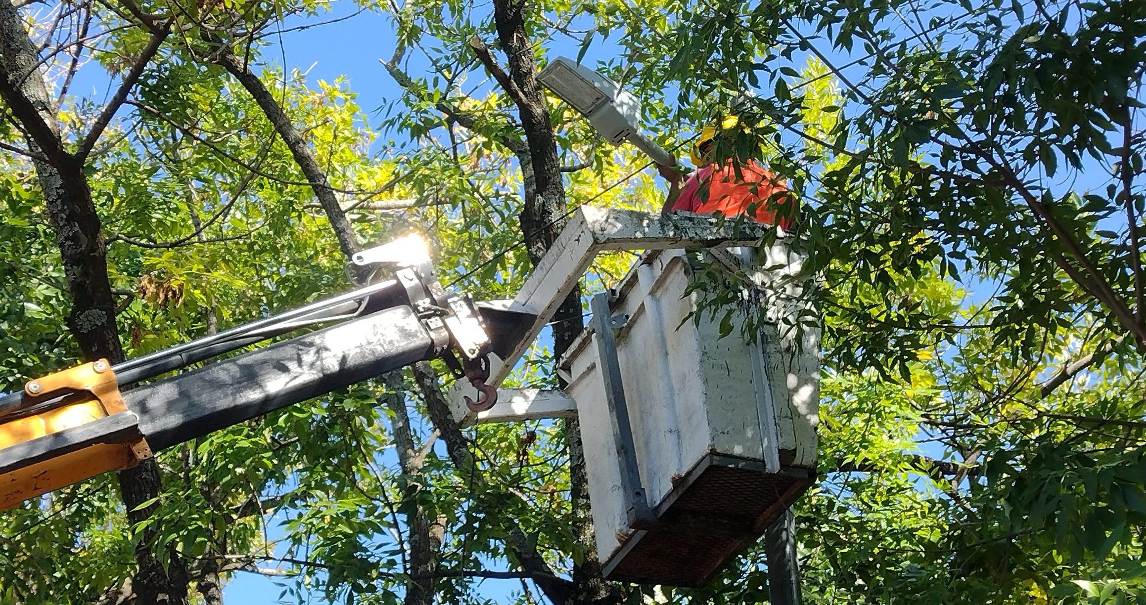 Lee más sobre el artículo Llegaron nuevos artefactos y habrá iluminación led en todo el Partido de Ramallo