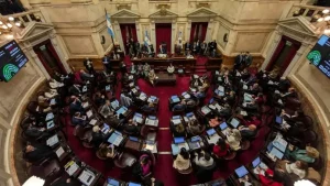 Lee más sobre el artículo Senado: la oposición dejó sin efecto el veto de Milei y reactivó la ley de emergencia en discapacidad