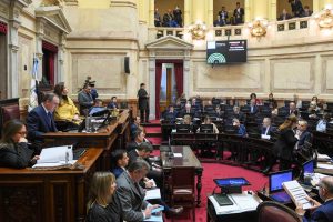 Lee más sobre el artículo Nuevo revés para Milei: el Senado rechazó el veto al reparto automático de los ATN