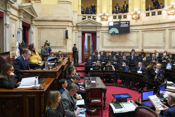 Lee más sobre el artículo Nuevo revés para Milei: el Senado rechazó el veto al reparto automático de los ATN