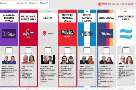 Lee más sobre el artículo La Cámara Electoral rechazó definitivamente la reimpresión de boletas en PBA y se mantendrá la foto de Espert