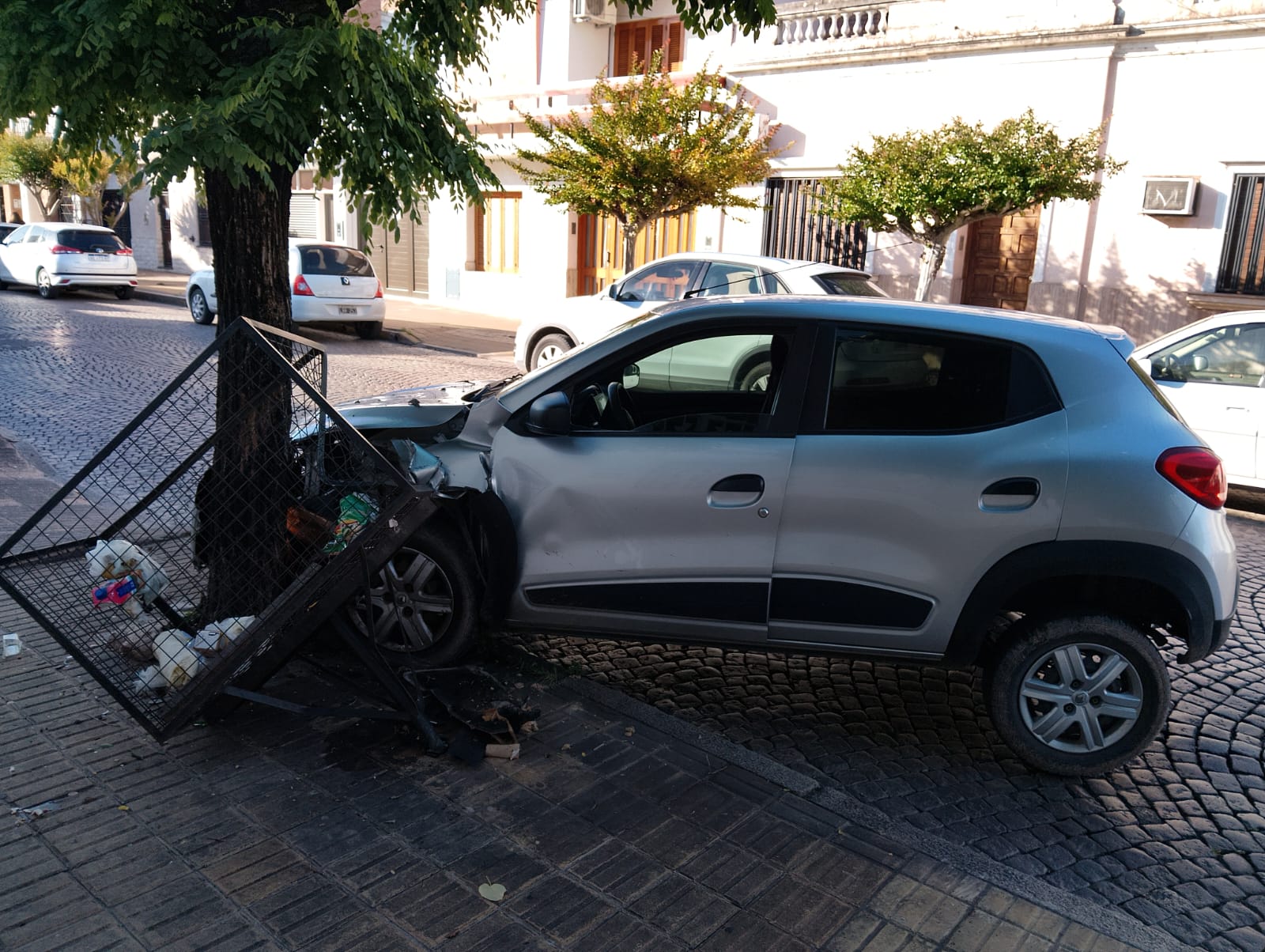 Lee más sobre el artículo Insólito: se quedó dormido y chocó un cesto de basura