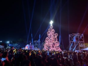 Lee más sobre el artículo Se realizó el tradicional encendido del Árbol de Navidad, en la costanera nicoleña