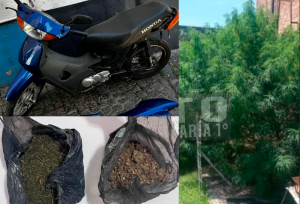 Lee más sobre el artículo Recuperan moto robada y secuestran marihuana durante allanamiento en zona oeste