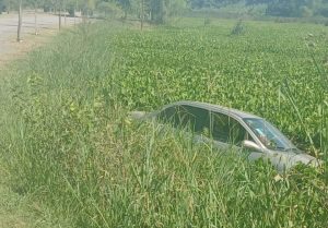 Lee más sobre el artículo Un auto cayó en Laguna del EcoParque y su conductor dio positivo en alcoholemia