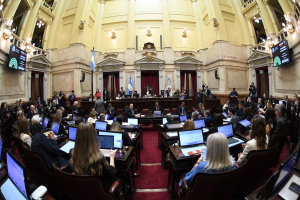Lee más sobre el artículo El Senado aprobó la baja de imputabilidad de 16 a 14 años