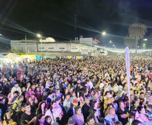 Lee más sobre el artículo Ramallo vivió un multitudinario festejo de Carnaval con un gran impacto económico