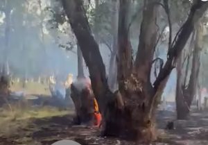 Lee más sobre el artículo Incendio de gran magnitud en el Monte de La Emilia