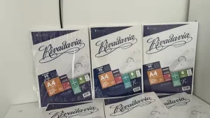 Lee más sobre el artículo La fabricante de las hojas Rivadavia perdió $1.418 millones tras una caída de 2,5 millones de unidades vendidas