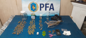Lee más sobre el artículo Indagaron al joven detenido con marihuana y hongos alucinógenos