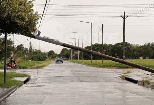 Lee más sobre el artículo La tormenta dejó varios postes y árboles caídos en San Nicolás