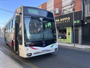 Lee más sobre el artículo Vercelli les niega el boleto gratuito a acompañantes de personas con discapacidad
