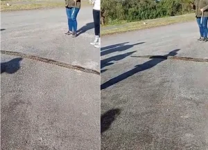 Lee más sobre el artículo Hallaron una boa constrictora de dos metros en la zona del Eco Parque