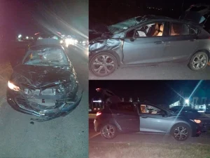 Lee más sobre el artículo Un auto impactó a una yegua en la Autopista, y dos personas sufrieron lesiones