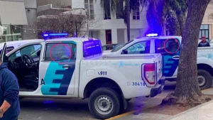 Lee más sobre el artículo Dos adolescentes fueron detenidos por generar disturbios y herir a tres policías en la marcha «Ni Una Menos» desarrollada en San Nicolás
