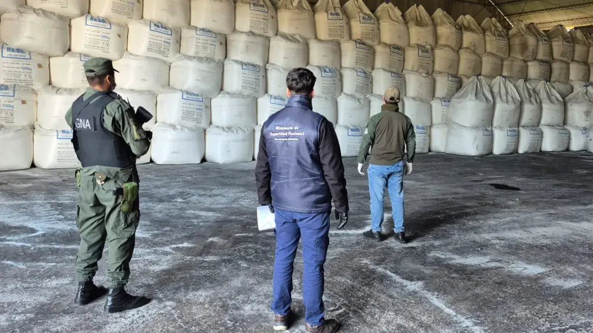 En este momento estás viendo Decomisan 2.161 toneladas de carbonato de sodio almacenadas ilegalmente en una empresa portuaria de San Nicolás