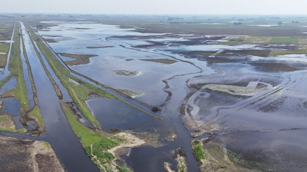 En este momento estás viendo Alertan que fuertes lluvias provocarían una histórica crecida del Río Paraná y podría afectar a la Costanera nicoleña
